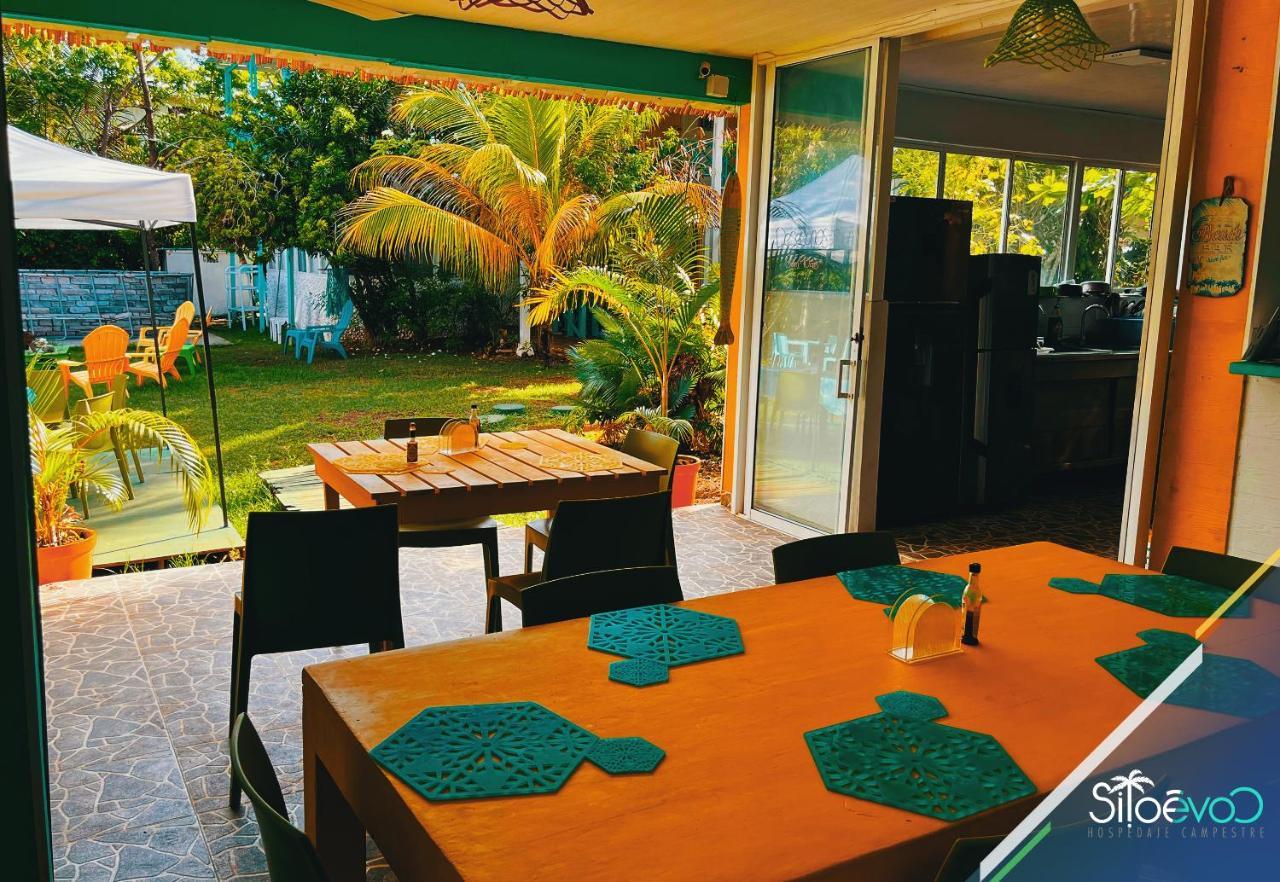 فندق San Andres Scuba Boutique Campestre المظهر الخارجي الصورة